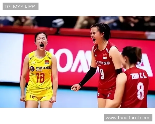 最新排球团队协作排行榜揭晓北京排球队表现卓越位居第一